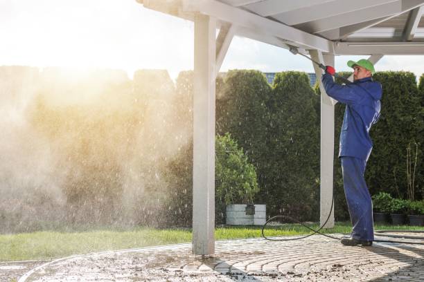 Best Pre-Holiday Cleaning  in Lynwood, IL