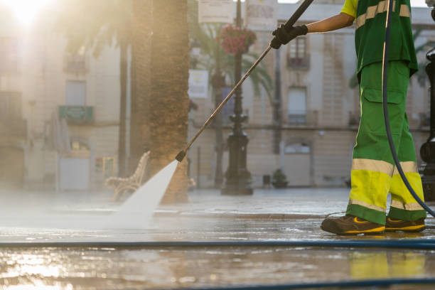 Best Playground Equipment Cleaning  in Lynwood, IL